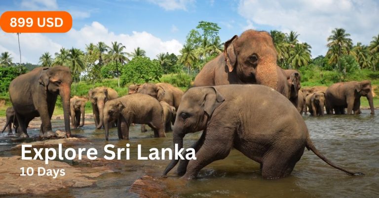 Explore Sri Lanka